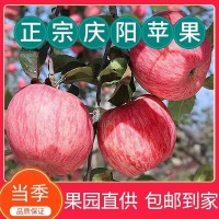 合水县天顺果品有限责任公司 陇原之星红富士苹果(80#24枚）)