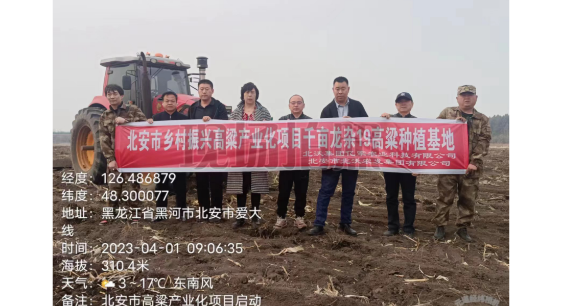 2023年4月1日北安市乡村振兴高粱产业化项目-千亩龙杂19高粱种植示范基地正式启动